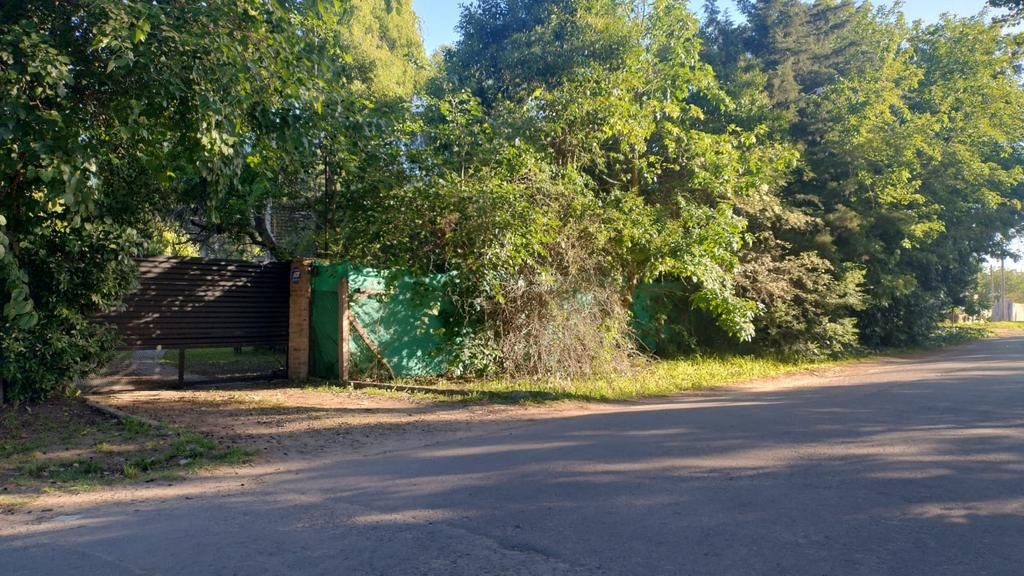 Feroz ataque en Arturo Seguí: culatazos, patadas y terror por un asalto