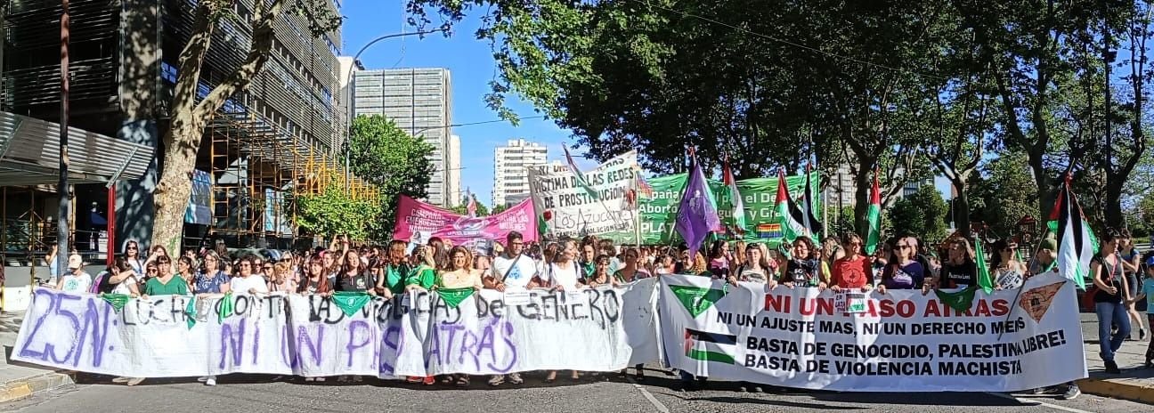 25N: La Plata marchó contra la violencia hacia las mujeres
