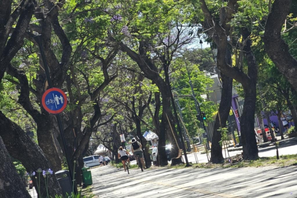 El clima demoró el show de la flor del jacarandá