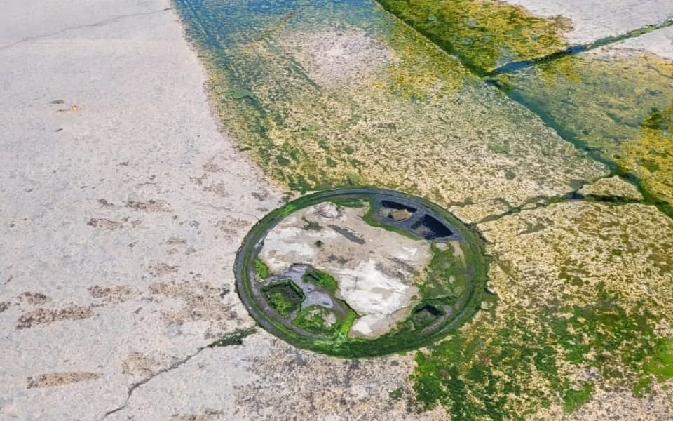 Desborde cloacal y un "olor nauseabundo" en un barrio de La Plata