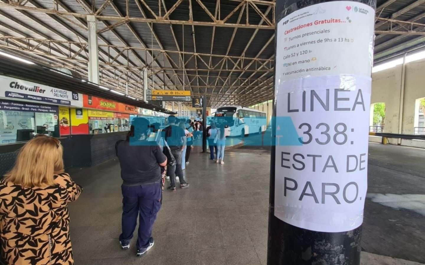 Pasajeros del TALP en La Plata: se levantó el paro y se normaliza el servicio