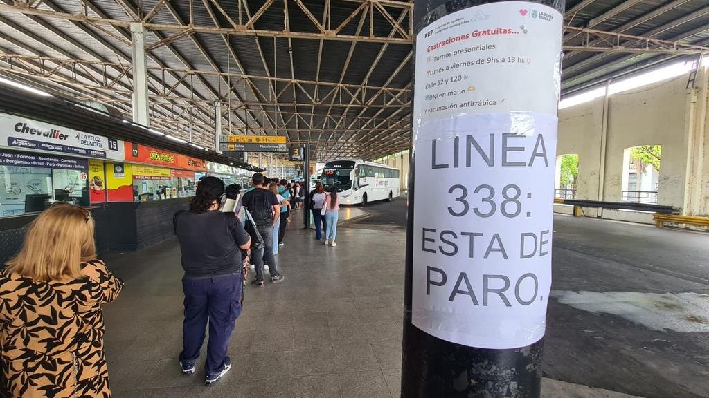 El paro de micros del Conurbano también golpeó en la Región