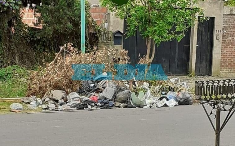 Crecen los reclamos en La Plata por la falta de recolección: "Se forman basurales"