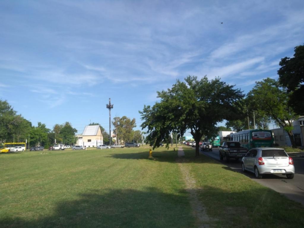 Se reforestará una rambla gracias a la iniciativa de un vecino
