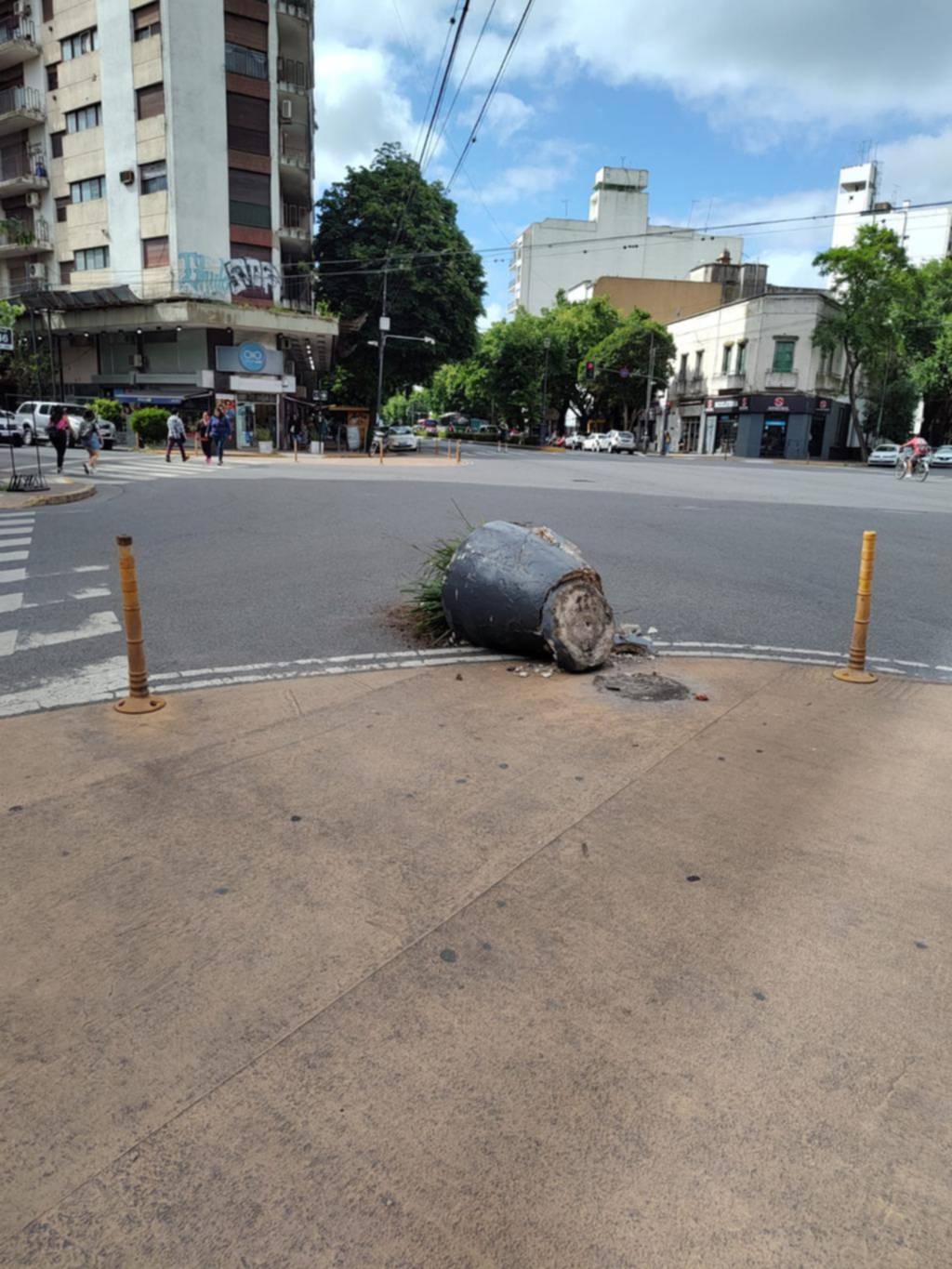 Vandalismo: destruyeron el macetón de la zona peatonal de diagonal 80 y 46