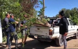 Bahia Blanca: se entregaron 260 árboles a más de 70 instituciones y entidades