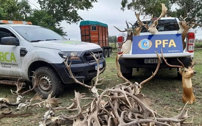 Balcarce: tenía 300 animales salvajes y la fiscal pide juicio oral