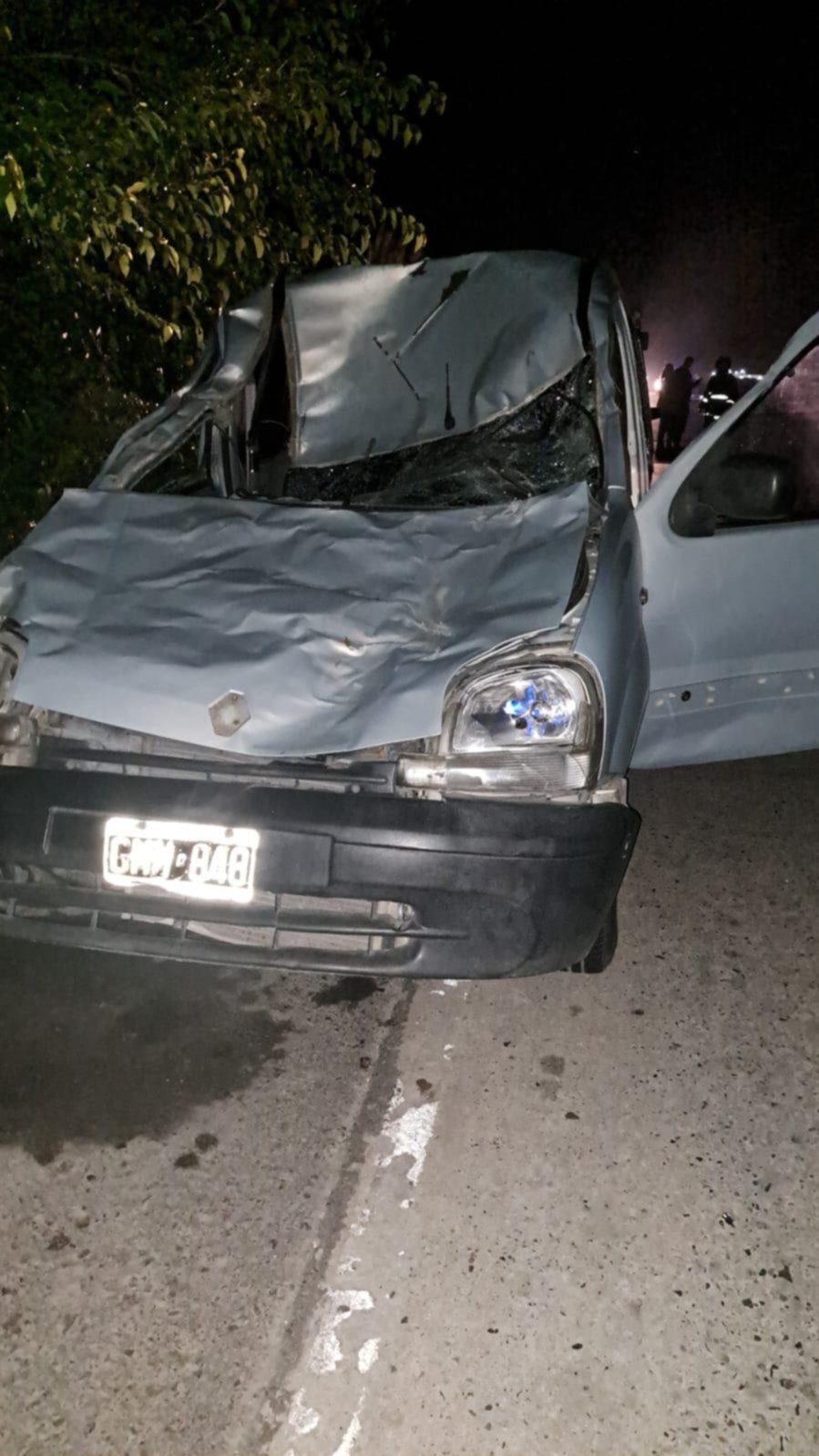 Un vecino de Brandsen embistió un caballo en la ruta 215 y perdió la vida