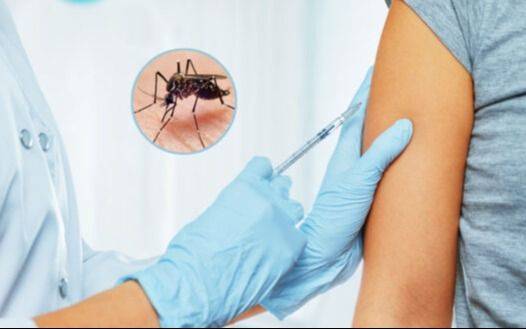 ¿Cuántos bonaerenses ya se aplicaron la vacuna contra el dengue? Lo que hay que saber de la campaña