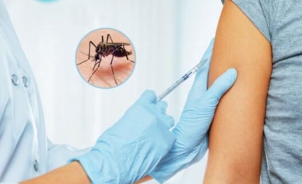 How many residents of Buenos Aires have already received the dengue vaccine? What you need to know about the campaign