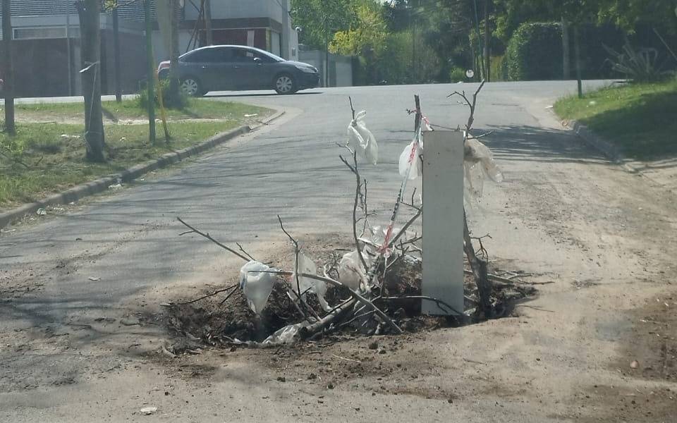 Un agujero negro en medio de una calle de Gonnet
