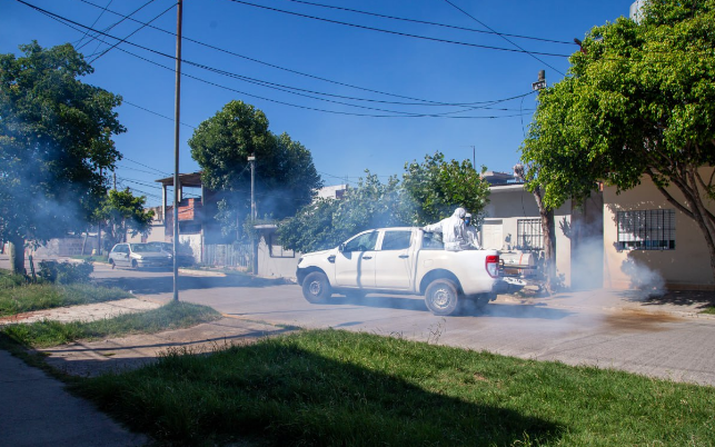 Siguen las acciones para combatir el dengue