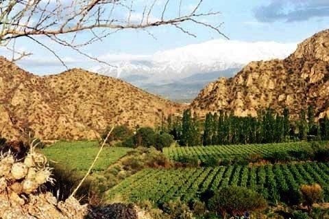 La Rioja, tercera provincia vitivinícola argentina