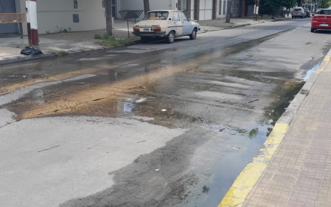 Una pérdida de agua lleva varios meses en una calle de La Plata