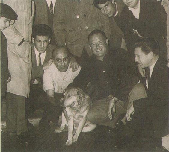 Carniquicho, el “patriarca” de los perros famosos de La Plata