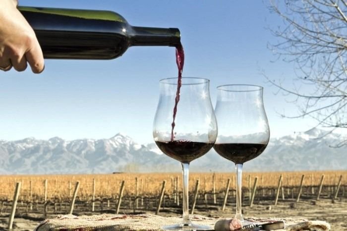 Hoy es el Día del Vino Argentino