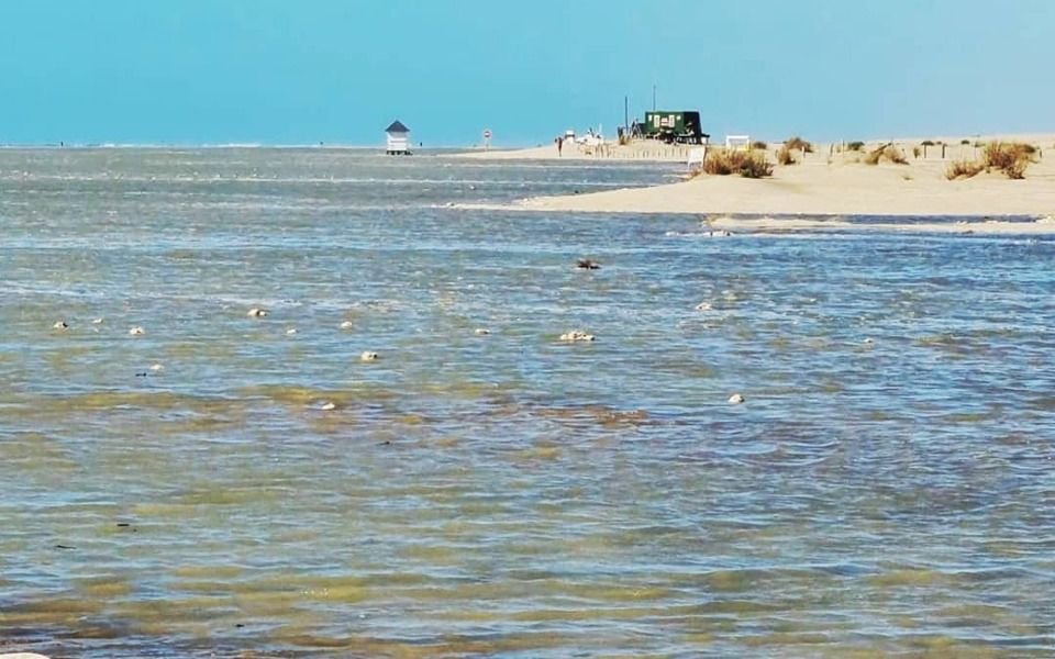 La reserva natural imperdible de visitar este verano en la Costa