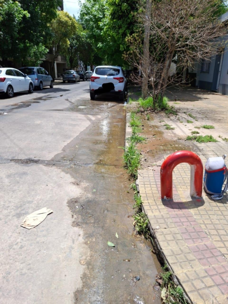 En una esquina de La Loma hay agua y olor a podrido