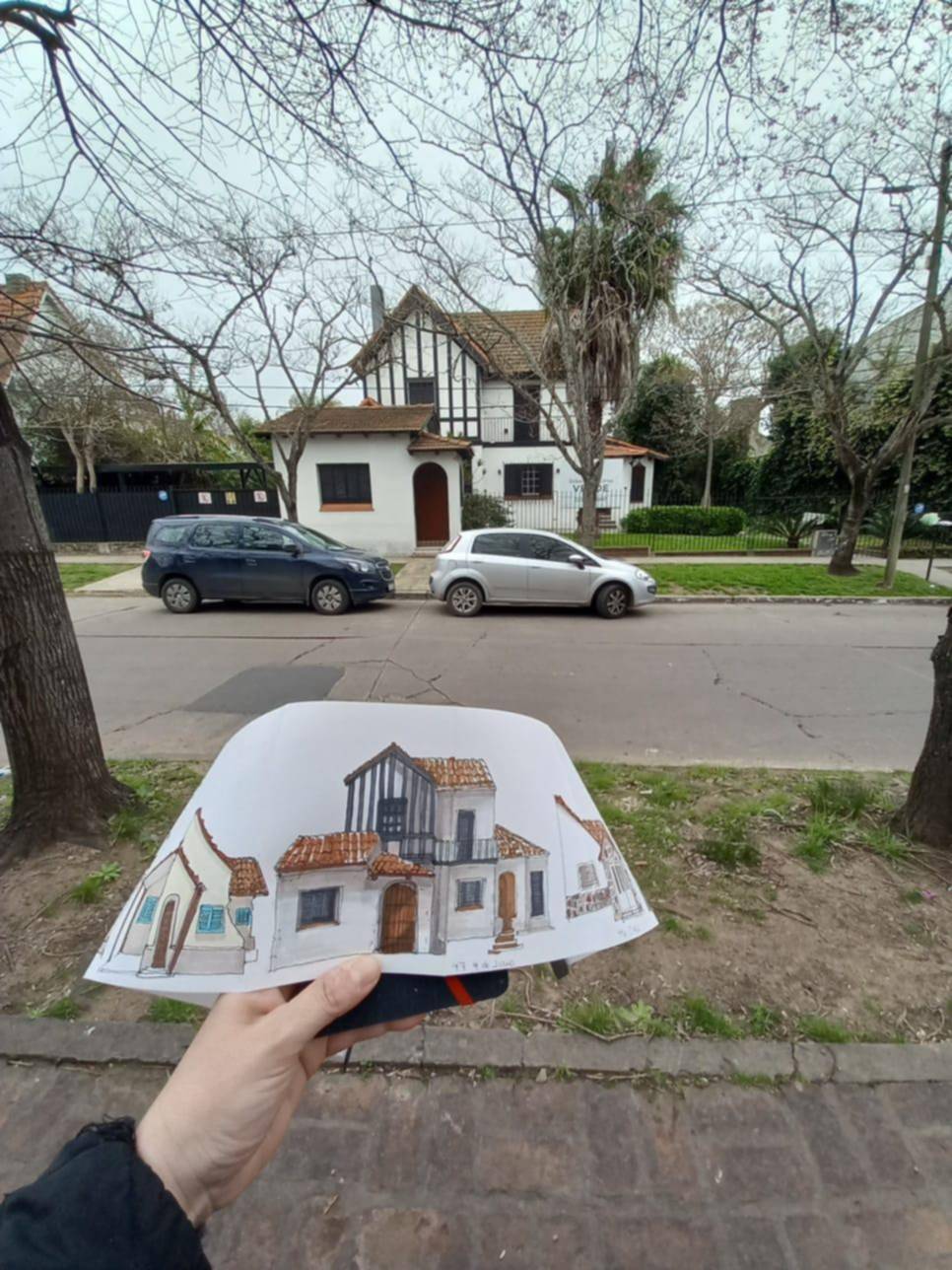 Retrato ilustrado de La Plata: casas en dibujos a mano alzada