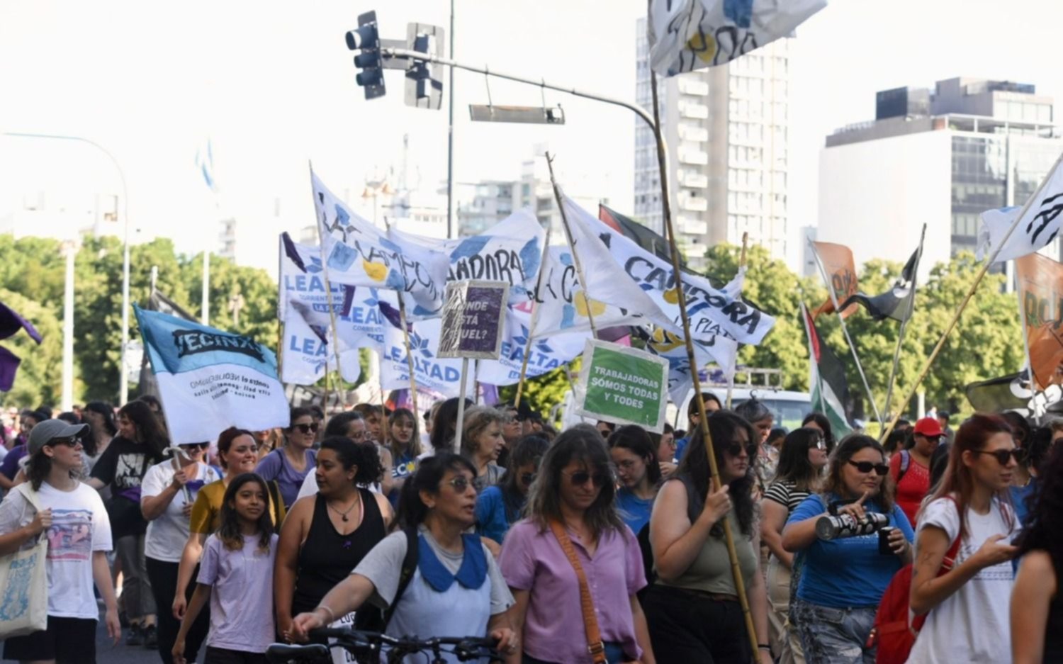 Masiva marcha en La Plata por el Día Internacional de la Eliminación de la Violencia Contra las Mujeres