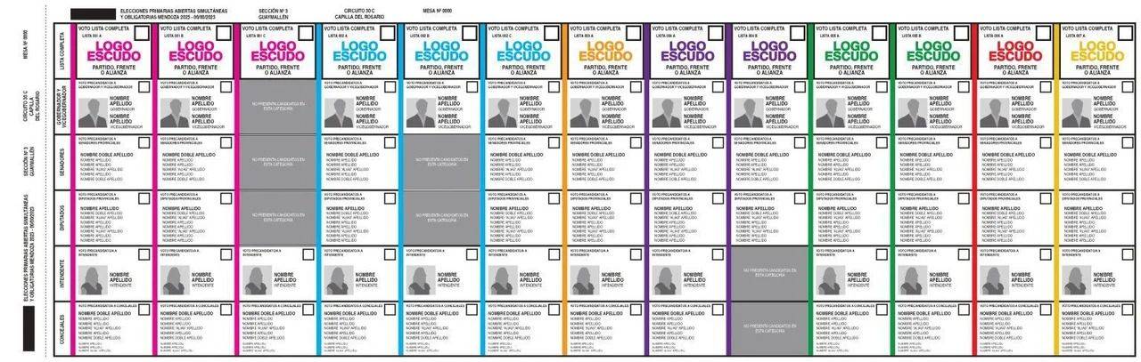 Oficializan el uso de la Boleta Unica de Papel para las elecciones nacionales