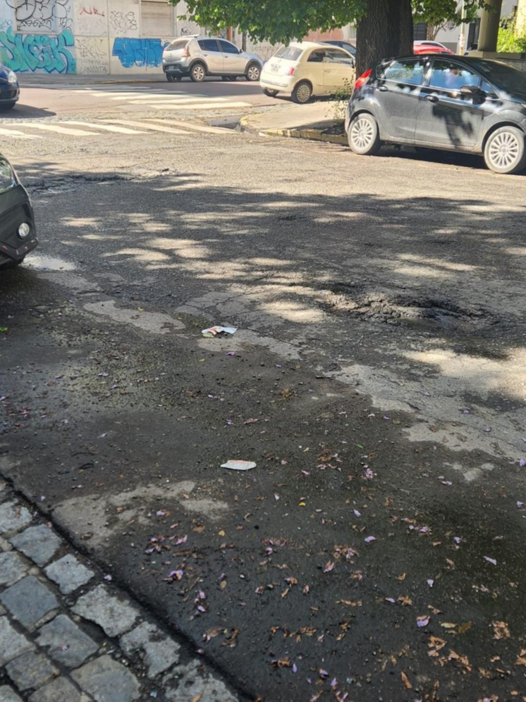 Crecen las quejas por el pésimo estado de calle 5 entre 45 y 46