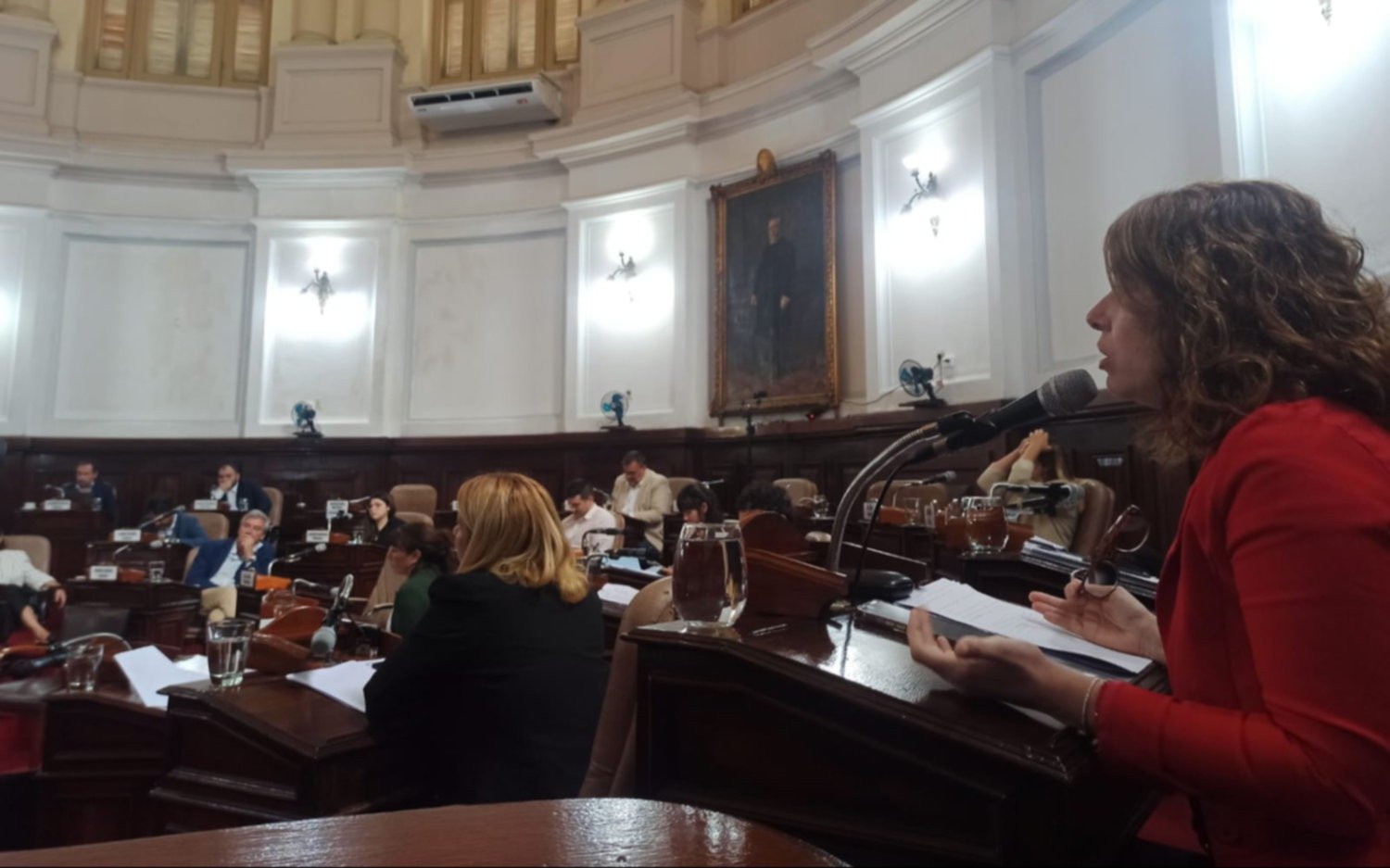 Con fuerte polémica, el Concejo rechazó las políticas de género del gobierno nacional