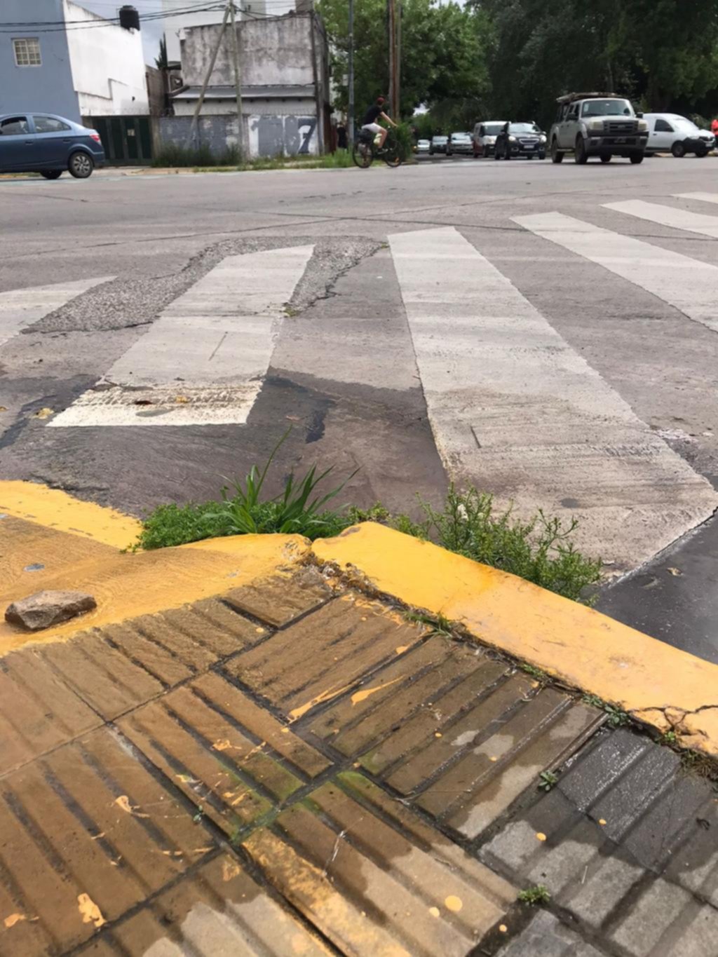 Crecieron plantas en una pérdida de agua que lleva meses en diagonal 73 y 37