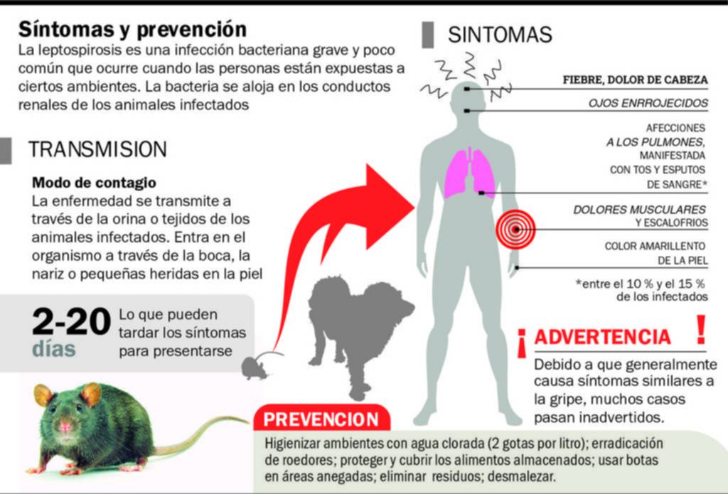 Alerta por leptospirosis: una muerte en Punta Lara