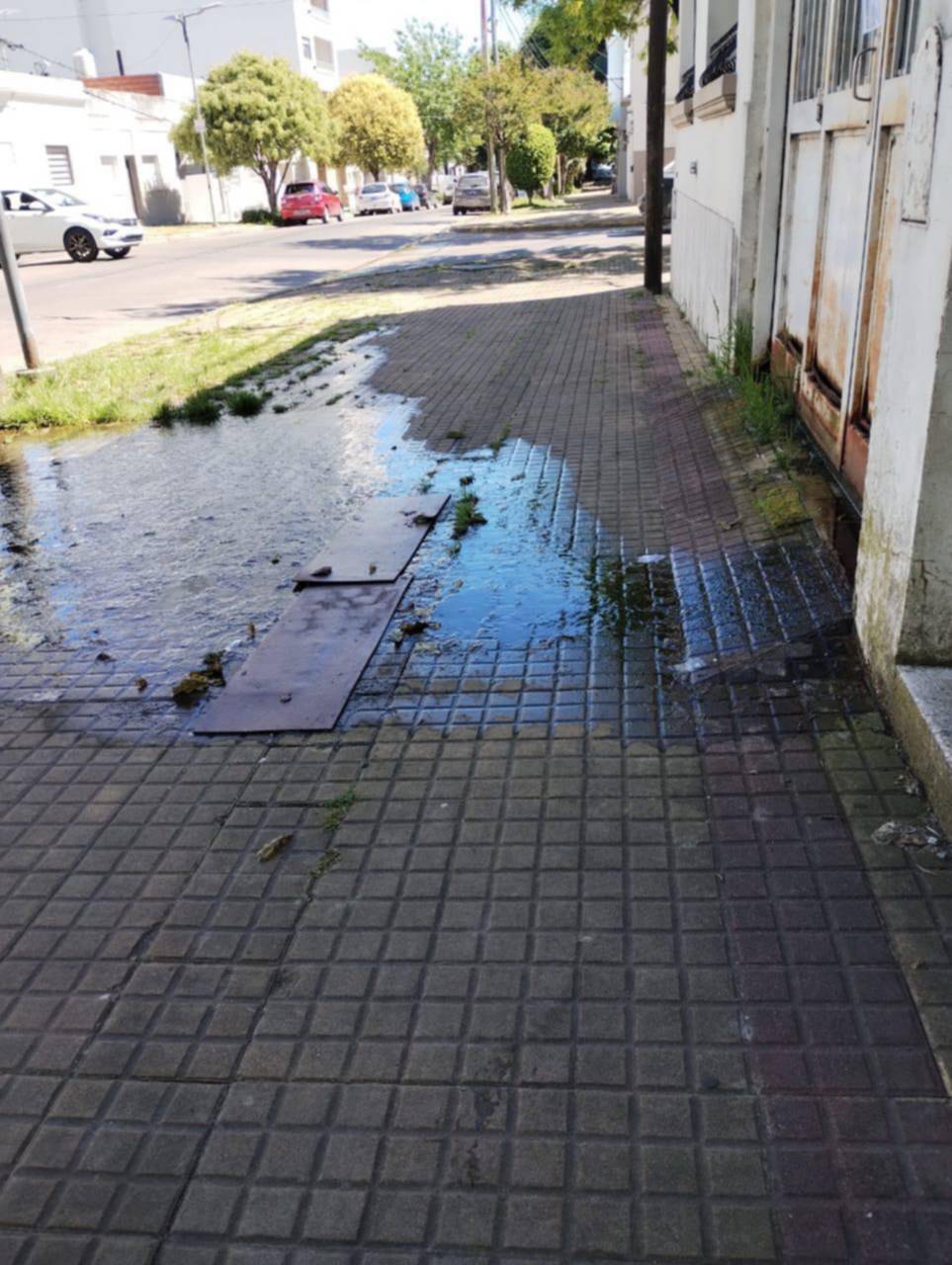 En 62 esquina 18, una pérdida de agua ya genera verdín y accidentes