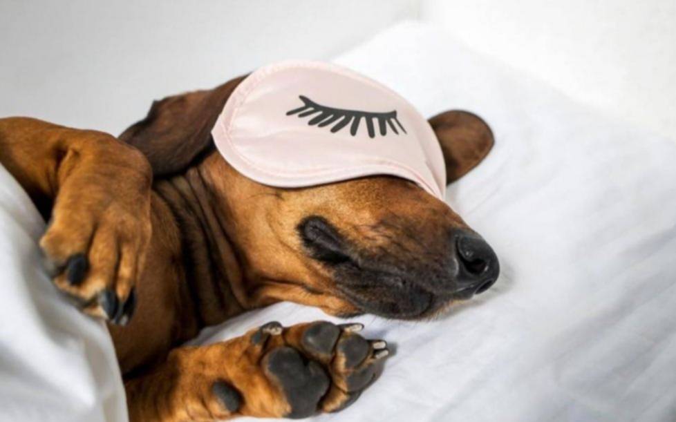 Cielo gris este sábado en La Plata pero con temperatura agradable: ¿se viene un domingo a puro chaparrones?