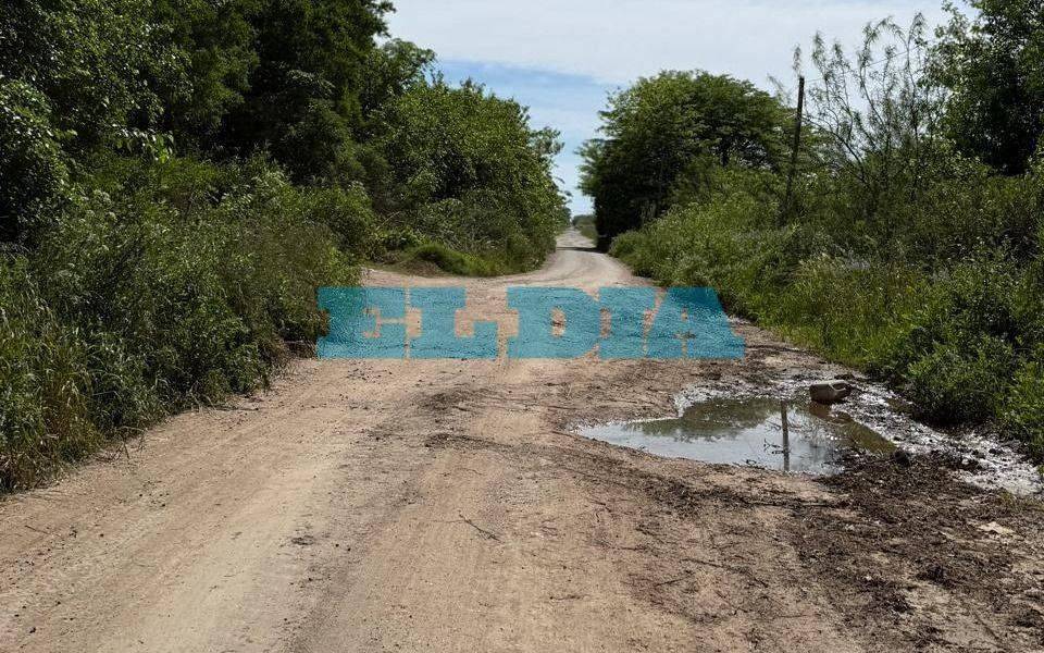 Vecinos de la zona oeste de La Plata denuncian abandono de la avenida 60: “Esto se convirtió en el Dakar platense”