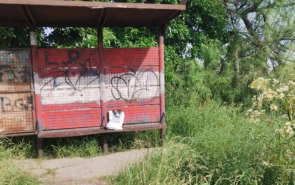 Temen por ratas y víboras en una parada de micro en 157 y 60, Los Hornos