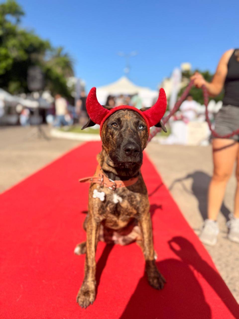 Los “monstruos peludos” coparon Plaza Azcuénaga