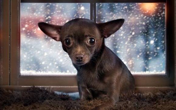 El miércoles arrancó con cielo amenazante y fresco en La Plata: ¿llueve o repunta?