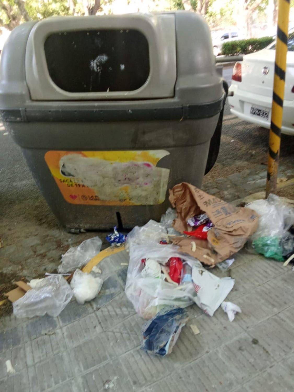 "¡Qué vuelvan los canastos!": quejas de vecinos por los contenedores