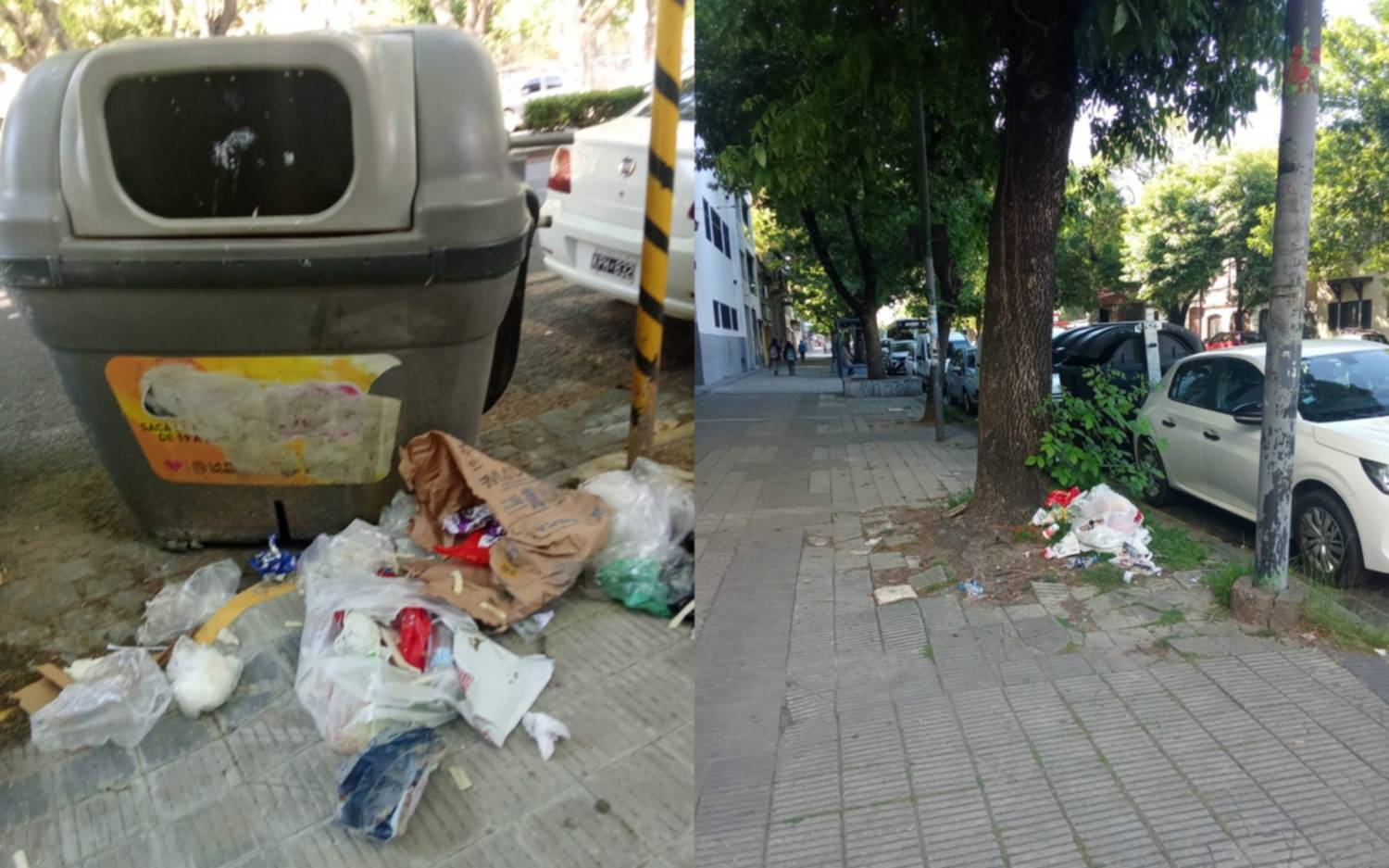 Una zona del centro de La Plata, repleta de basura