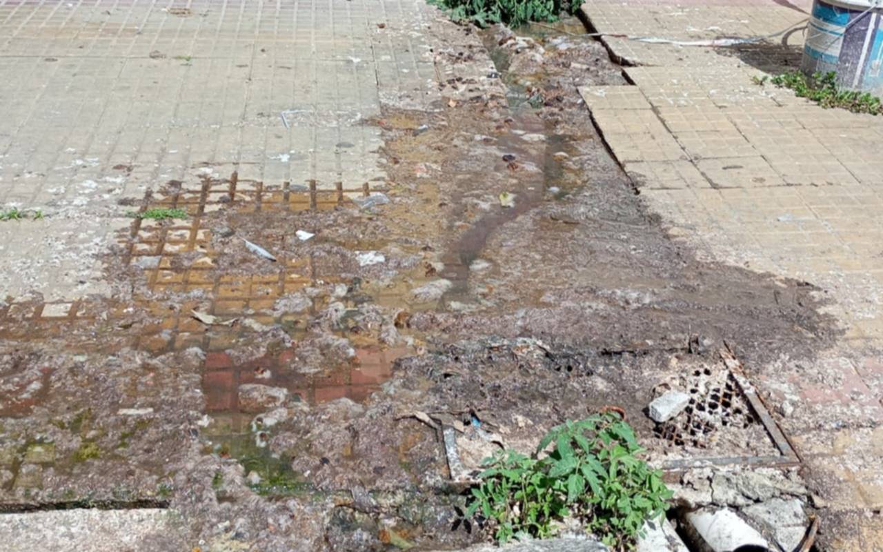 Desborde cloacal en una calle del centro de La Plata, a metros de un colegio