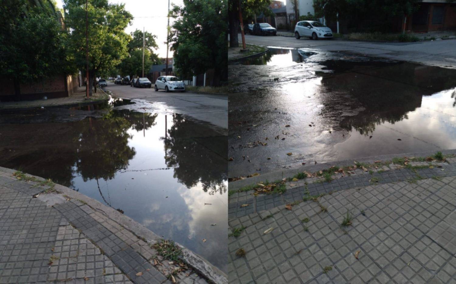 La laguna de Tolosa es un festín para los mosquitos