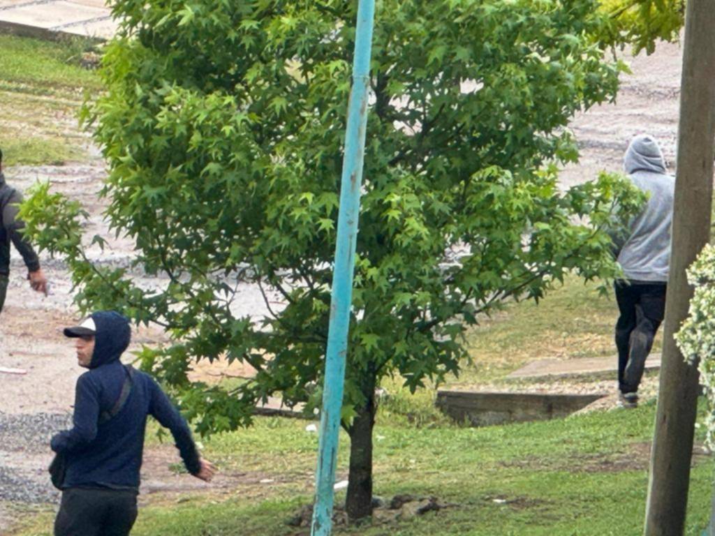 Bandera verde para la inseguridad en una nueva urbanización de City Bell