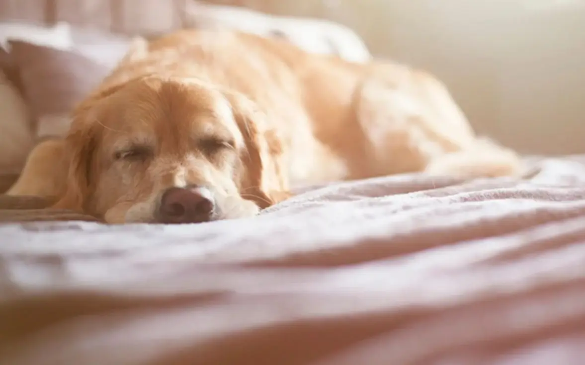 Sábado con probables chaparrones en La Plata: el tiempo para este finde