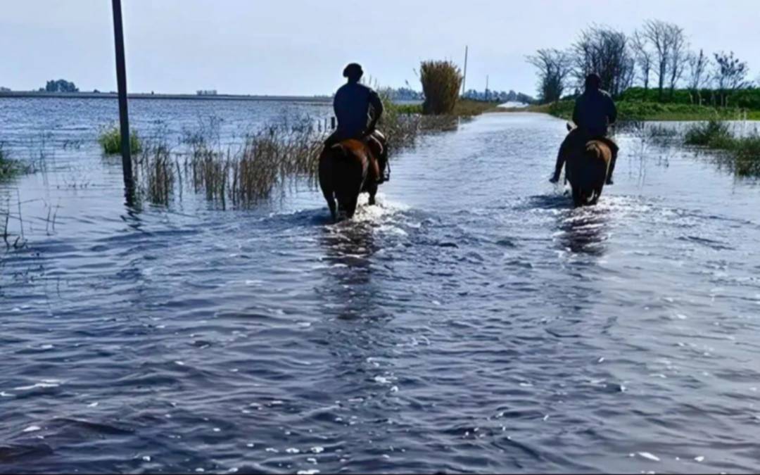 Inundaciones en el interior bonaerense: visita de Bulrrich en 9 de Julio