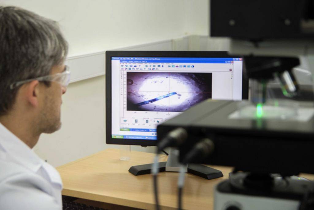 Alarmante hallazgo de investigadores platenses en el Canal de Beagle