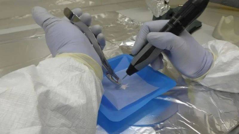 Identifican un gen argentino: un linaje genético que se originó hace más de 8.000 años