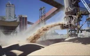 Bahía Blanca refuerza su rol como nodo exportador en la Provincia