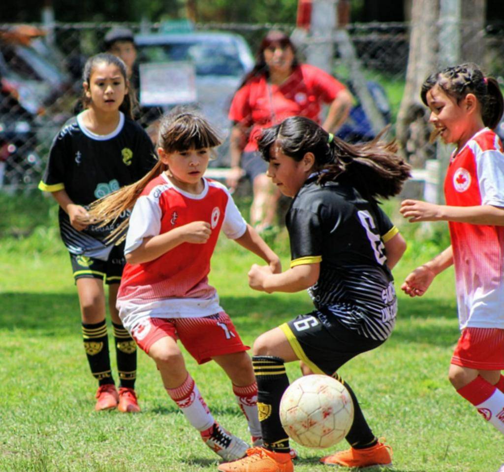 Pusieron toda la carne en el asador