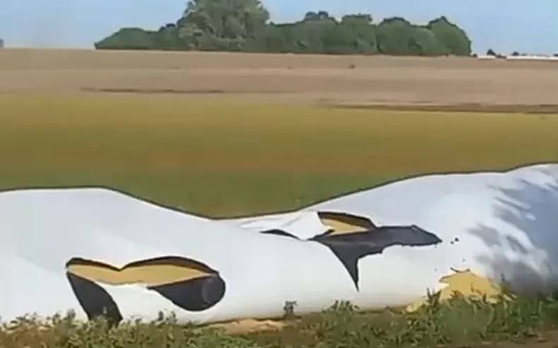 Salto: investigan el robo de seis toneladas de soja en un campo sobre la Ruta 32