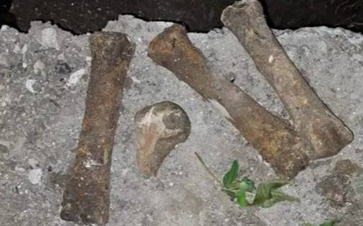 Macabro hallazgo en Ensenada: encontraron restos óseos en una calle y buscan develar su origen
