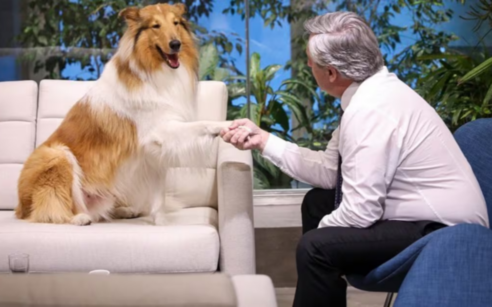 Murió Dylan, el perro de Alberto Fernández: el emotivo mensaje de despedida