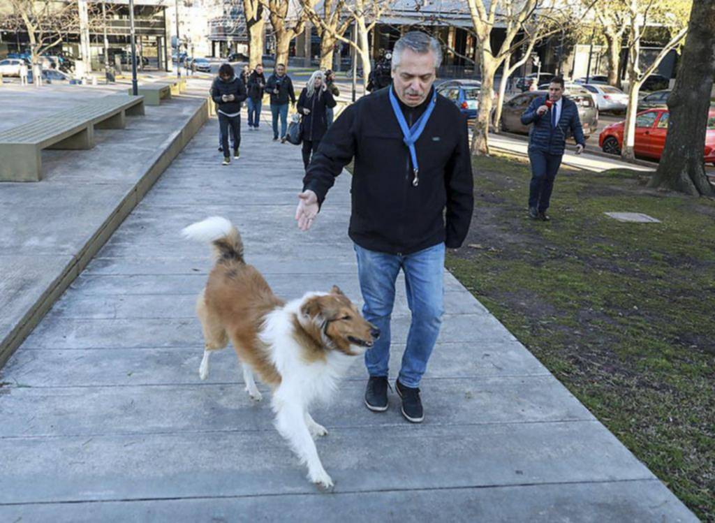 Murió Dylan, el perro que acompañó a Alberto Fernández en Olivos